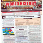 Cosmos Publication World History By Mahesh Kumar Barnwal Kunal Verma Paper English Medium