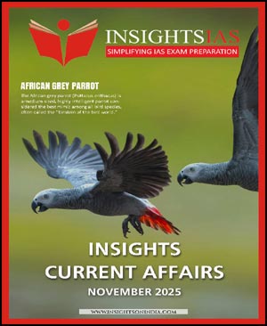 Insight IAS November Current Affair 2025
